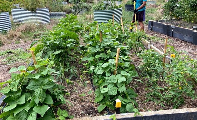 Photo of •Westmeadows Indigenous Community Garden