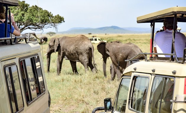 Photo of African Safari Attractions Destinations. Booking Vacations/ Kiboko Safaris