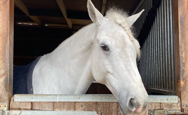 Photo of Trent Park Equestrian Centre