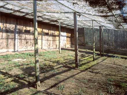 Foto von Fledermaus Auffangstation Köln NABU