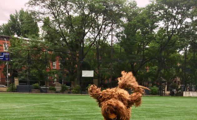 Photo of Soccer Field