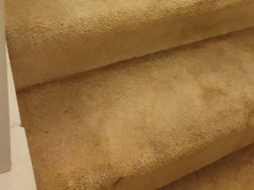 Photo of Bayview Carpet Cleaning