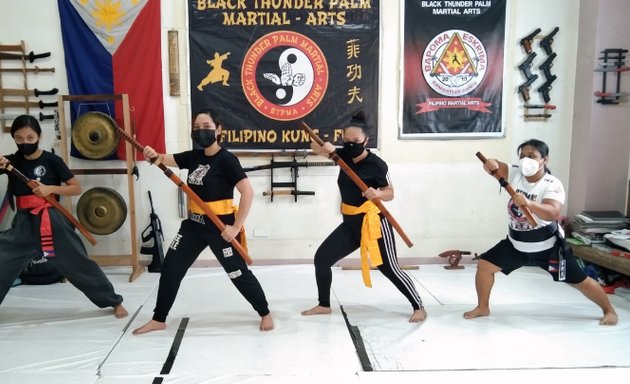 Photo of Black Thunder Palm Martial-arts