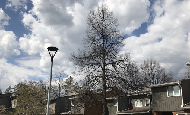 Photo of University Of Toronto Scarborough Campus South Residence