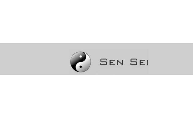 Foto de Sensei - Soluciones y Servicios