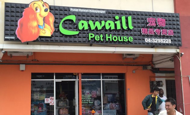 Photo of Cawaill Pet House