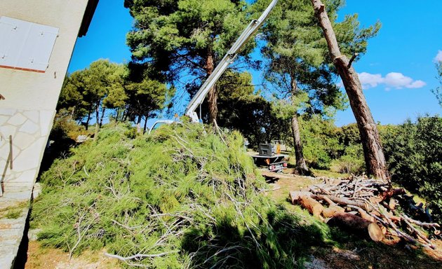 Photo de 🌳 Elagueur grimpeur arboriste 🌳 / spécialiste élagage et abattage arbres a risque & rognage de souche Aix-en-Provence