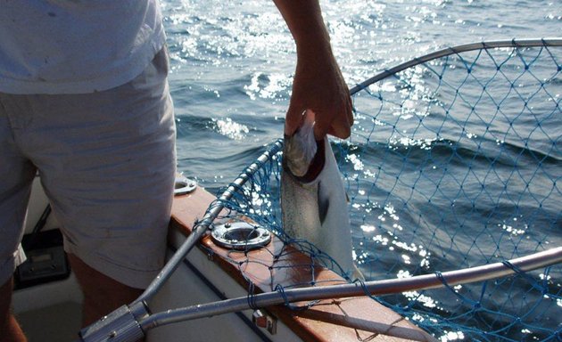 Photo of Osprey Charter Fishing