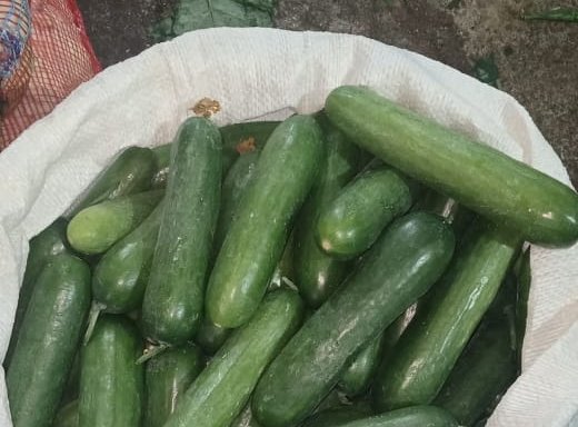 Photo of Rajesh Wholesale Vegetable