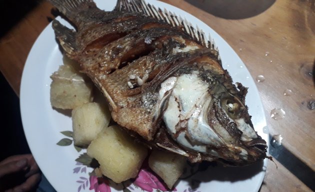 Foto de Señora Tilapia