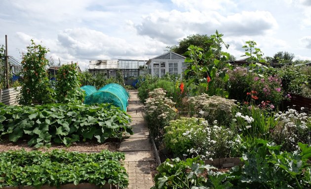 Photo of Beighton Allotments / Orchard Lane (Private)