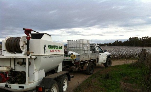 Photo of Hydro Spray Grass