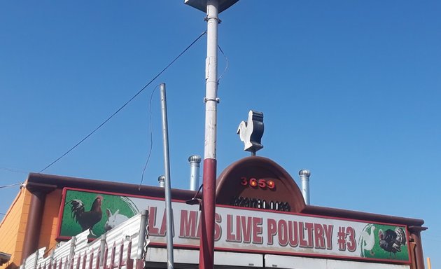 Photo of La Mas Live Poultry