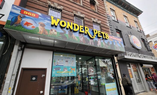 Photo of Wonder Pets corp