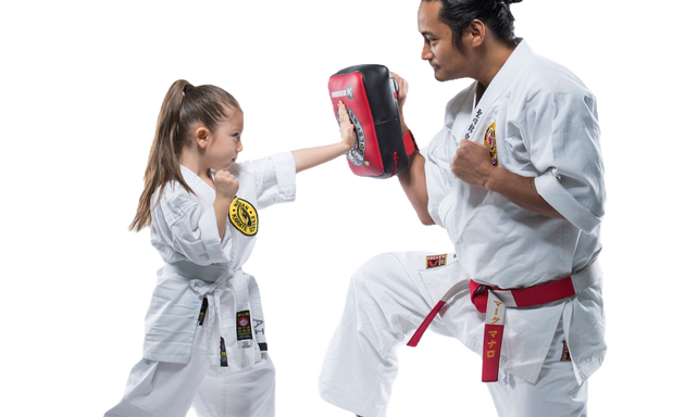 Photo of Northern Karate Thornhill