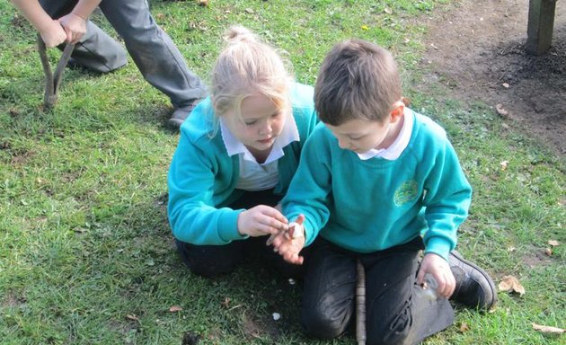 Photo of Ashfield Primary School