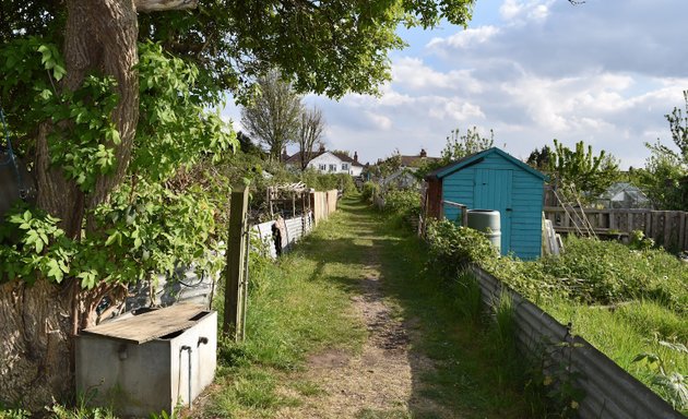 Photo of Western Road Allotments