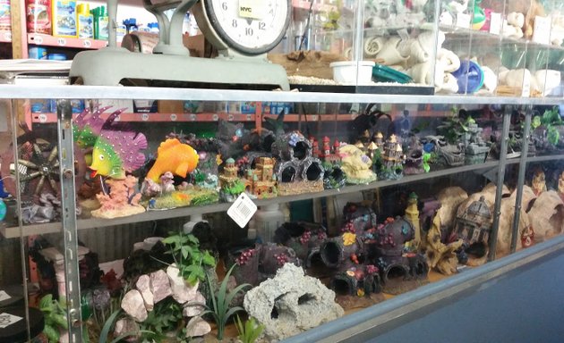 Photo of J & J Pet Shop