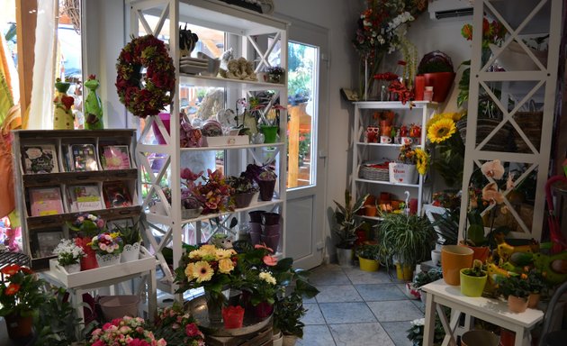 Foto von Mauerblümchen Floristik Kladow