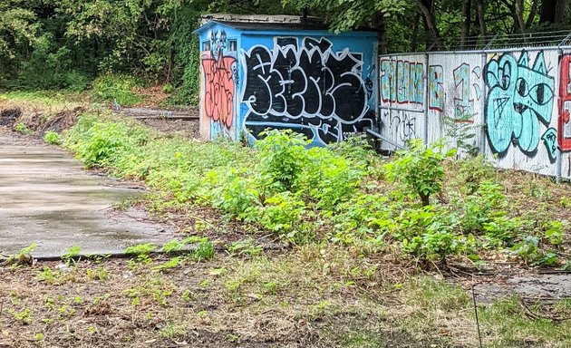 Photo of Henry William Morgan Pool