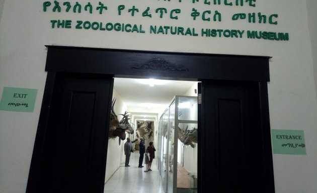 Photo of The Zoological Natural History Museum