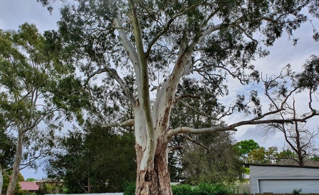 Photo of The Bill Cooper Oval