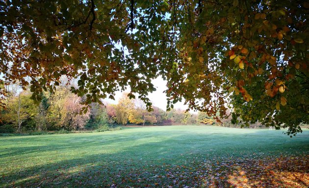 Photo of Green Street Green Common