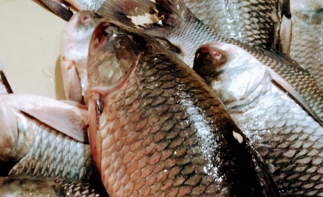 Photo of Diamond Howrah fish shop