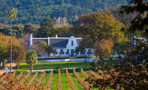 Photo of The Constantia Wine Tour