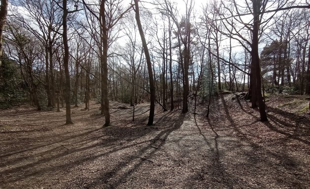 Photo of Addington Hills Viewing Platform