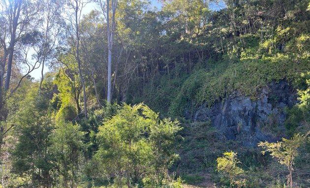 Photo of Mount Ommaney Bushland Reserve