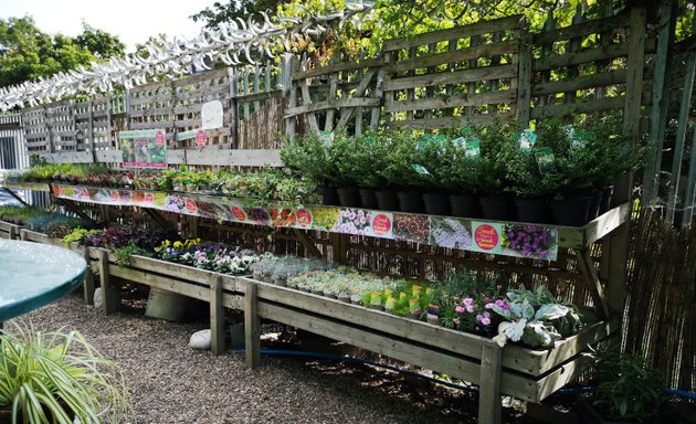 Photo of Growing Concerns Garden Centre Online with Local Pick up