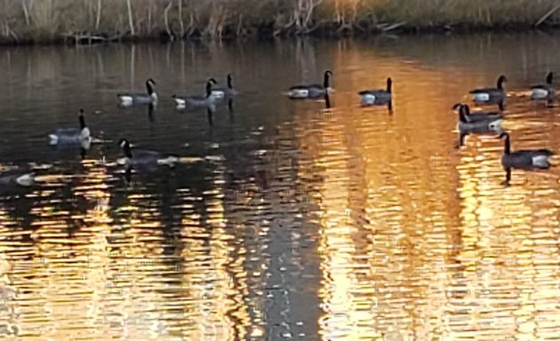 Photo of Helm Pond