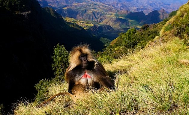 Photo of Welcome Ethiopia Tours