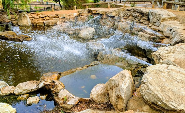 Photo of Fremont Park Duck Pond