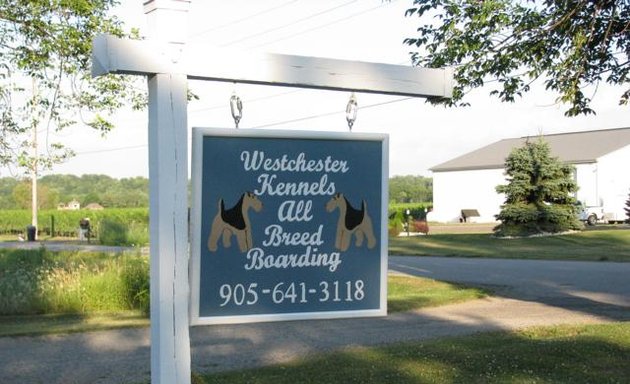 Photo of Westchester Kennels