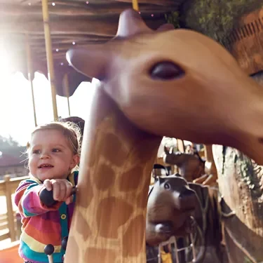 Photo of The Chessington Adventure Tree Carousel