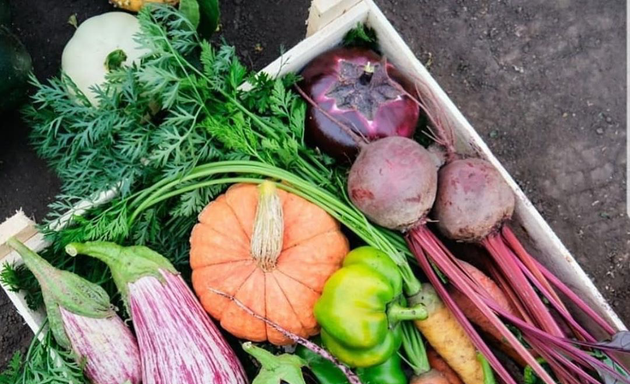 Photo of Pale Green Dot (Food Waste Recycling Services / Fresh Produce Delivery)