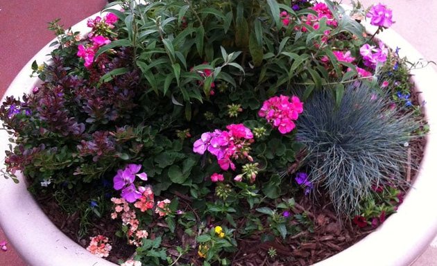 Photo of Bloem Landscaping and Garden Maintenance Denver