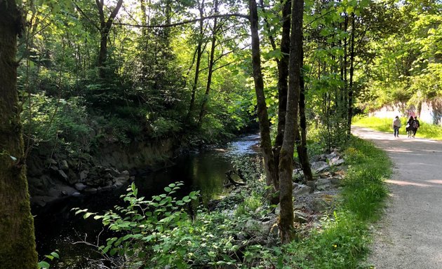 Photo of Brunette River Conservation Area