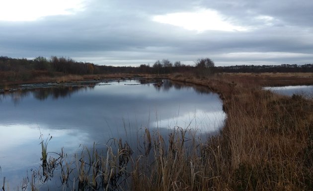 Photo of Risley Moss Local Nature Reserve