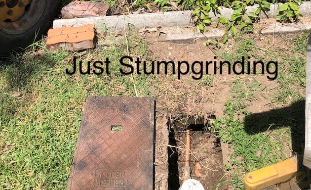 Photo of Just Stumpgrinding