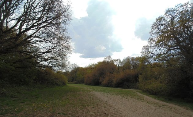 Photo of Raeburn Open Space