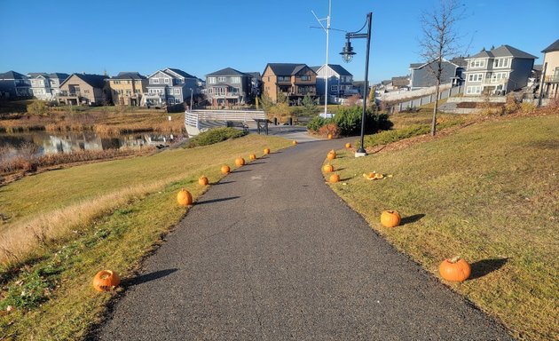 Photo of Bedford Basin