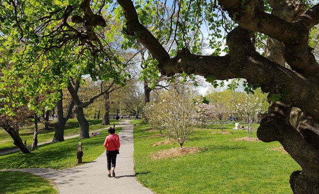 Photo of Hyde Park in Leaside