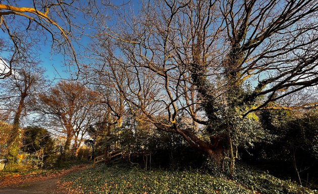 Photo of Bisterne Avenue Park Play Area