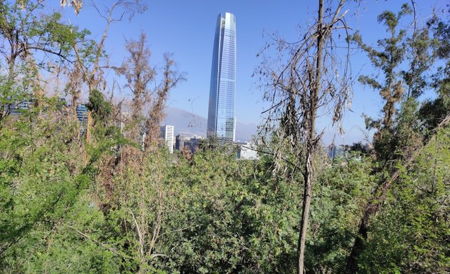 Foto de Sendero Cerro San Cristobal