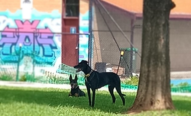 Photo of Broadview Dog Park