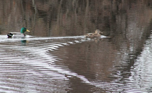 Photo of Ambassador's Pond