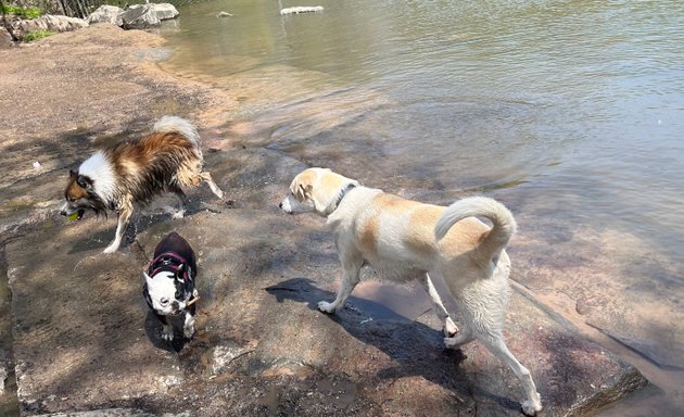 Photo of Prospect Park Dog Beach